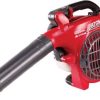 Atom 4 Stroke Blower 1.jpg