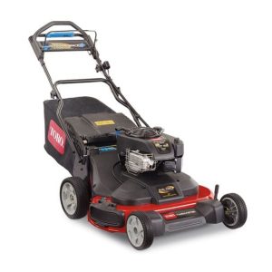 Toro 21199 Push Mower 1.jpg