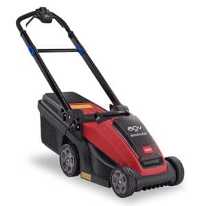 Toro Battery Push Sp 21836.jpg