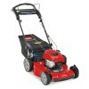 Toro Personal Pace 21462.jpg