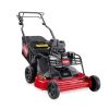 Toro Turfmaster 22215.jpg